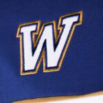Wits Panelled Supporters Jersey SS - Image 2