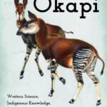 Discovering the Okapi