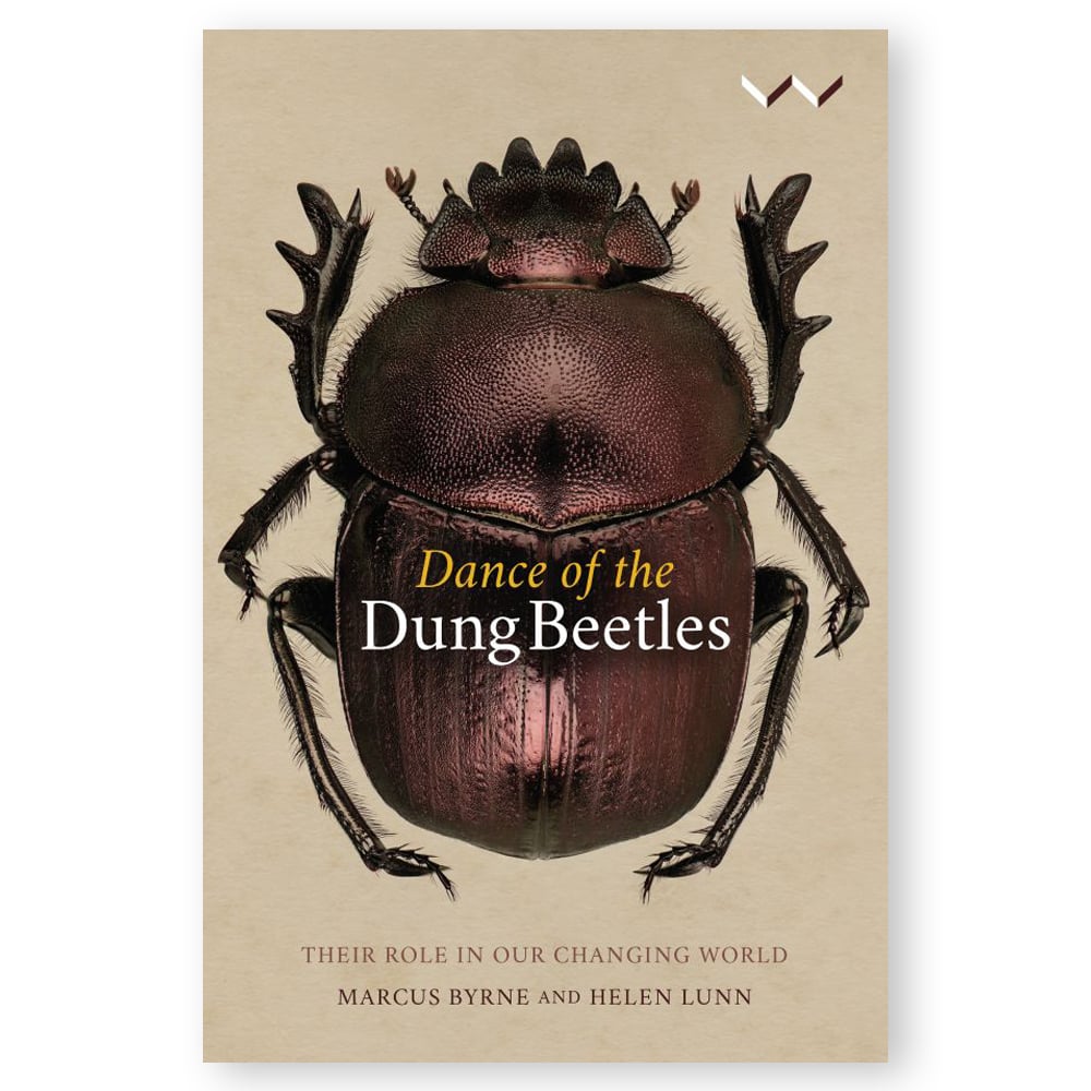 692bdfb8-5388-4eb2-919f-f0a07d94bd7e.jpg Dance Of The Dung Beetles: Their Role In Our Changing World - Image 1