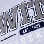 Wits All Star Hoody Grey Melange - Image 4