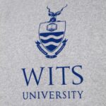 Wits Basic Hoody Grey Melange - Image 3